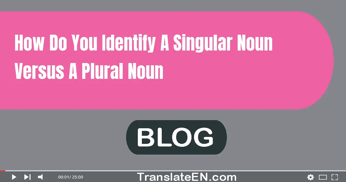 How do you identify a singular noun versus a plural noun?