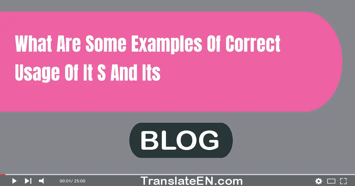 What are some examples of correct usage of 'it's' and 'its'?