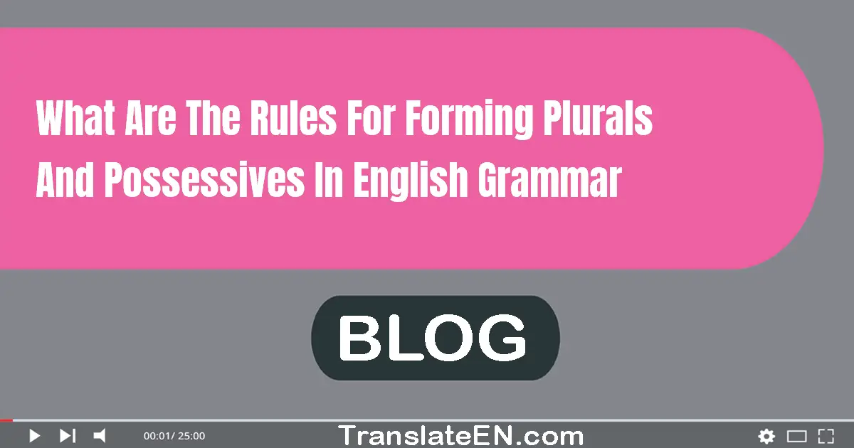 What are the rules for forming plurals and possessives in English grammar?