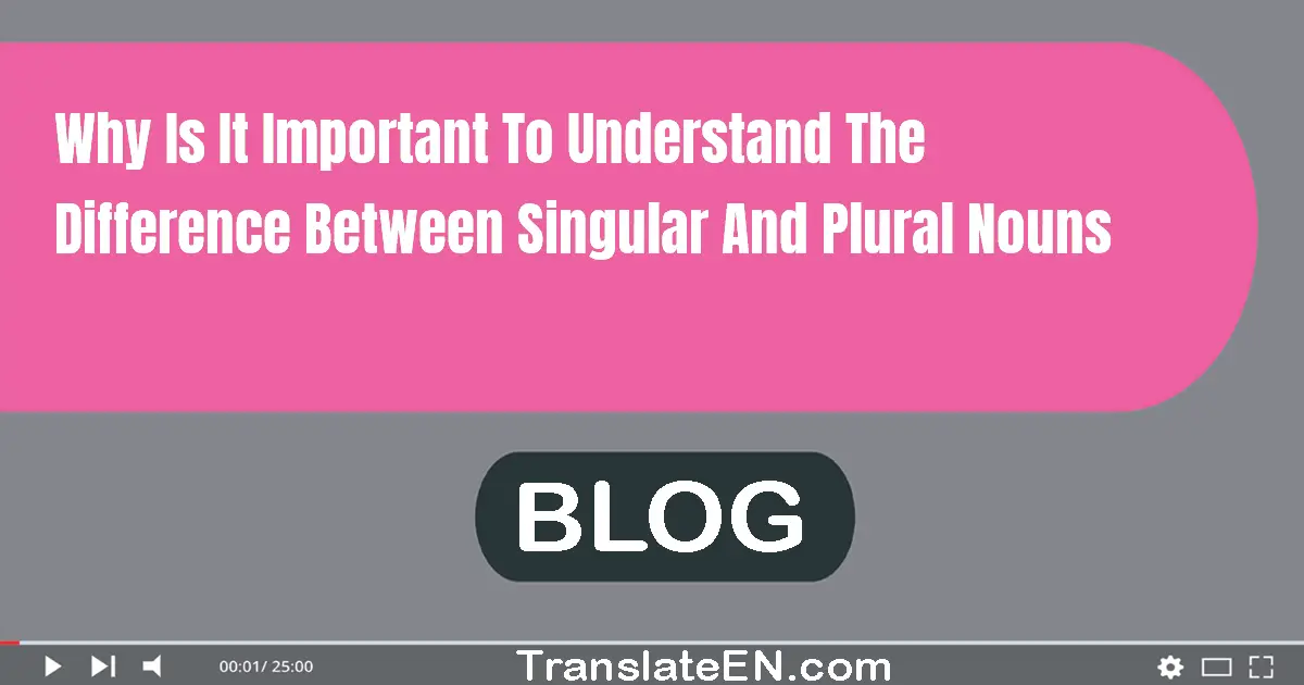 Why is it important to understand the difference between singular and plural nouns?