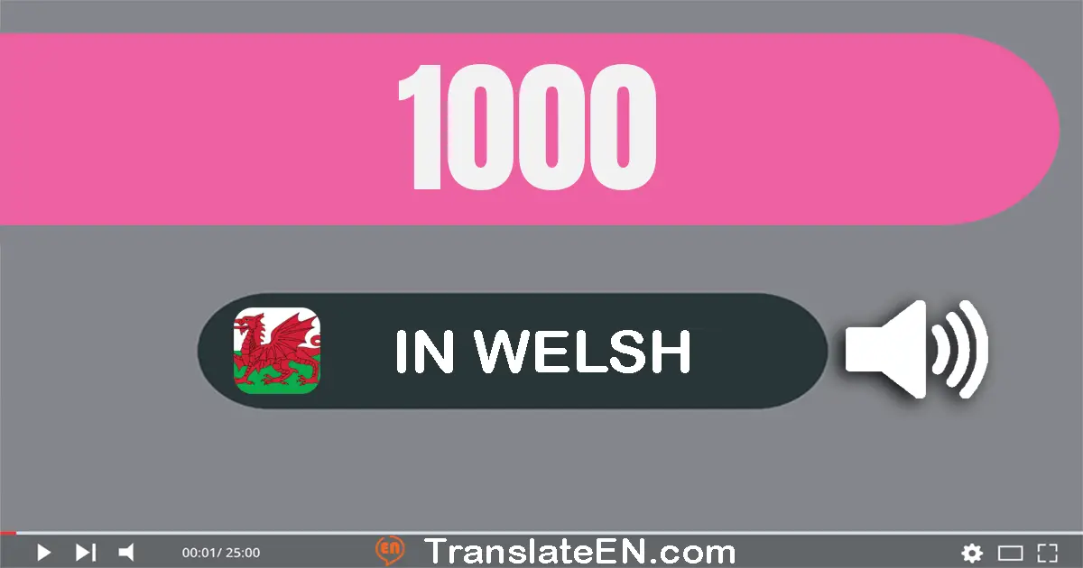 Write 1000 in Welsh Words: un mil