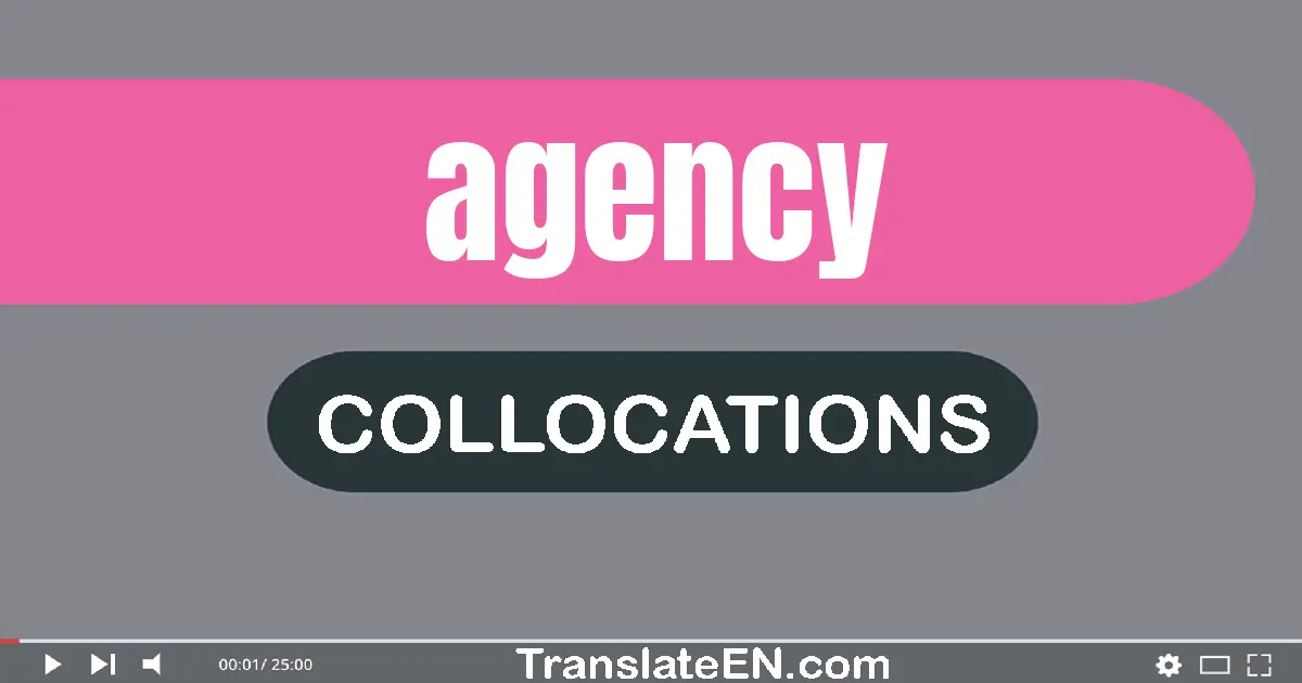 Collocations With "AGENCY" in English