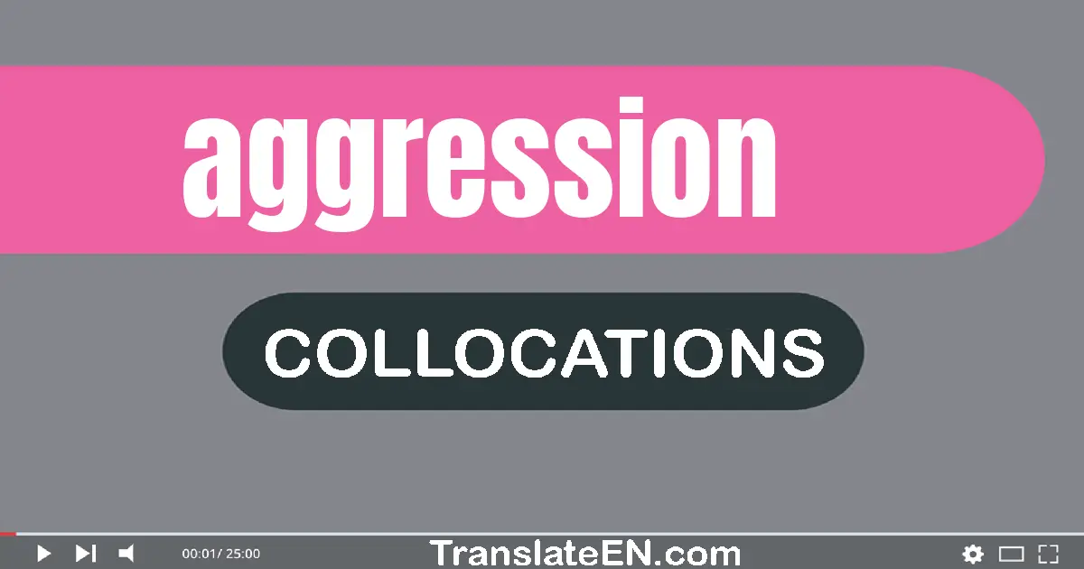 Collocations With "AGGRESSION" in English