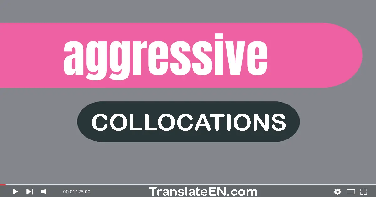 Collocations With "AGGRESSIVE" in English