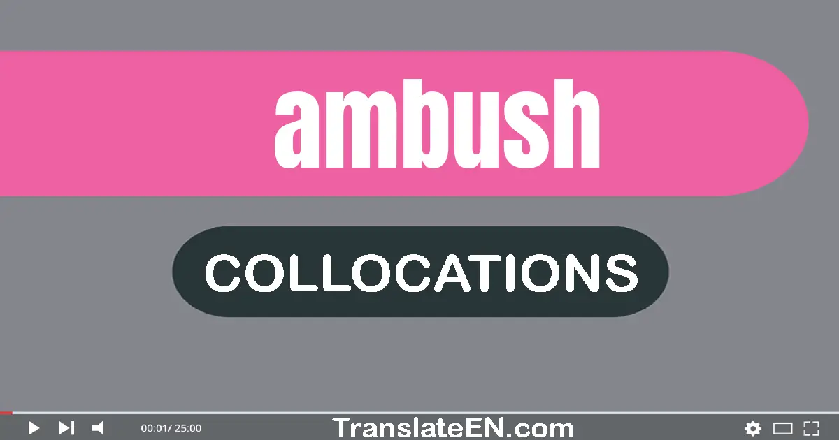 Collocations With "AMBUSH" in English