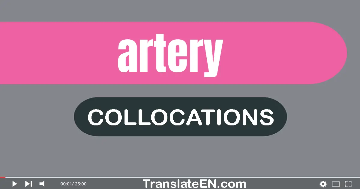 Collocations With "ARTERY" in English