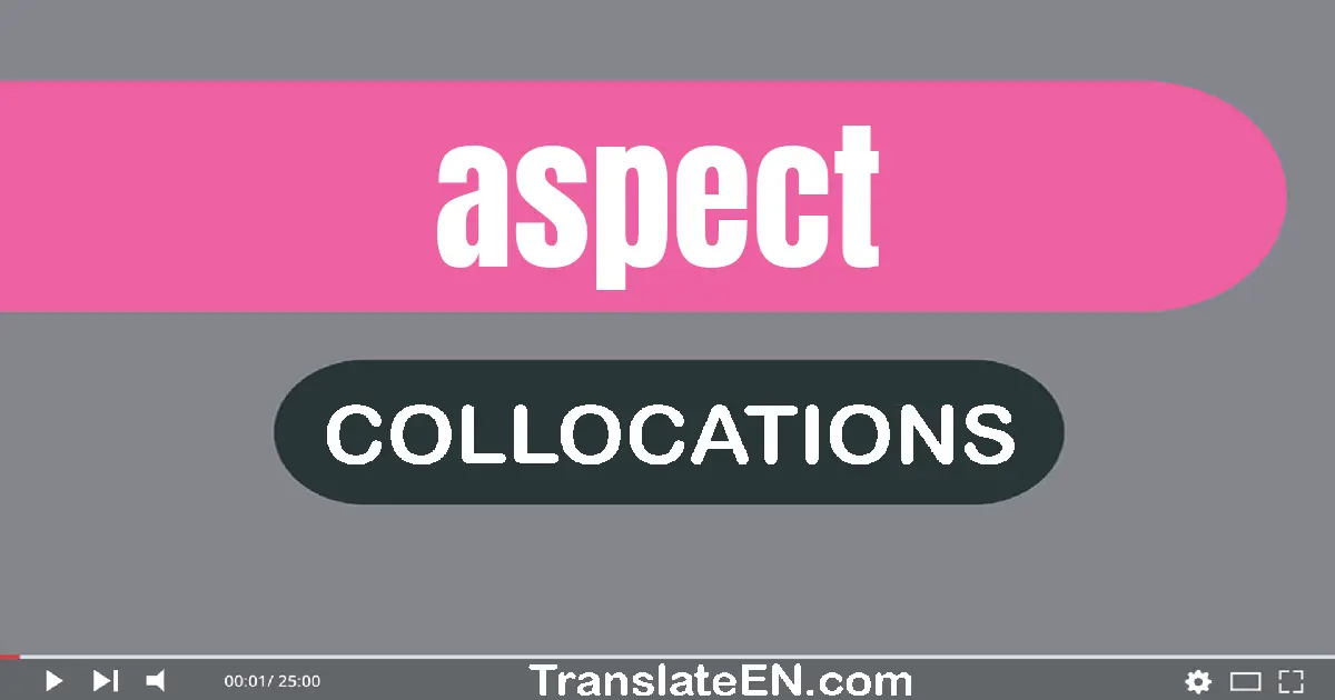 Collocations With "ASPECT" in English