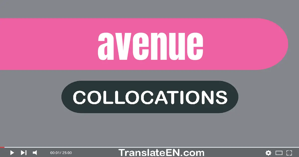 Collocations With "AVENUE" in English