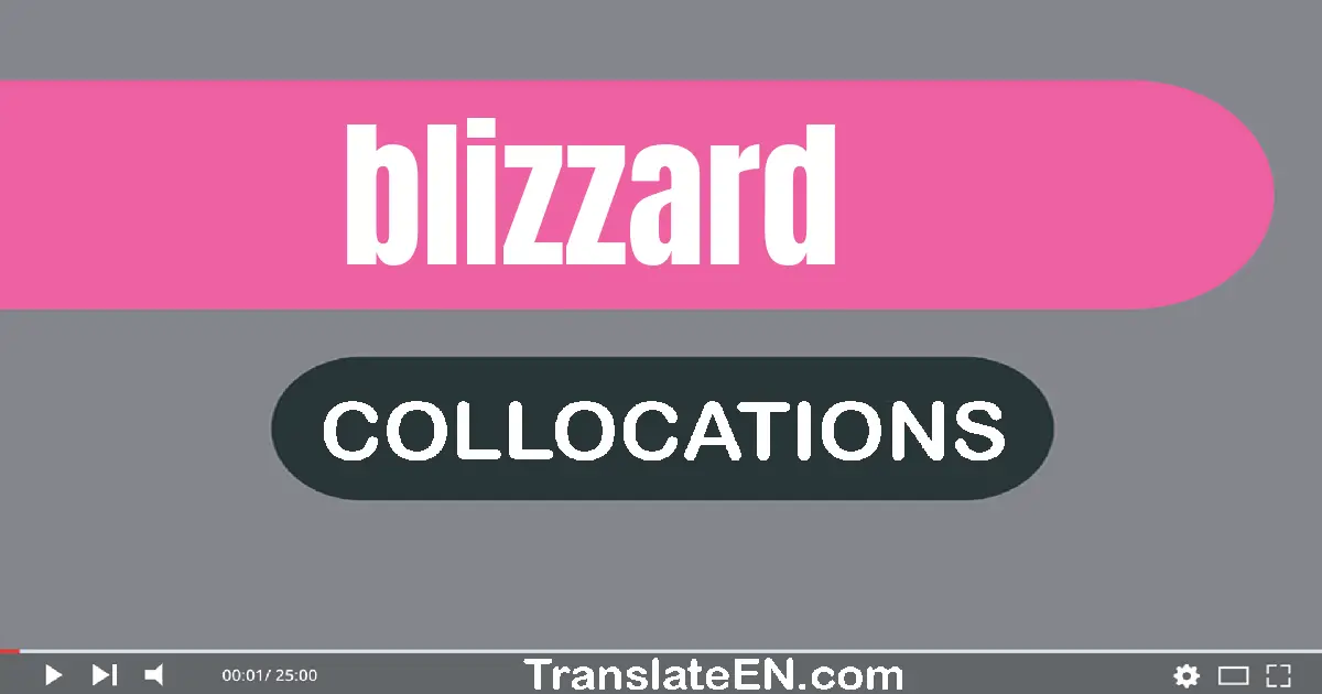 Collocations With "BLIZZARD" in English