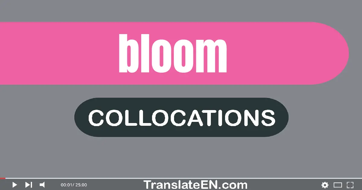 Collocations With "BLOOM" in English