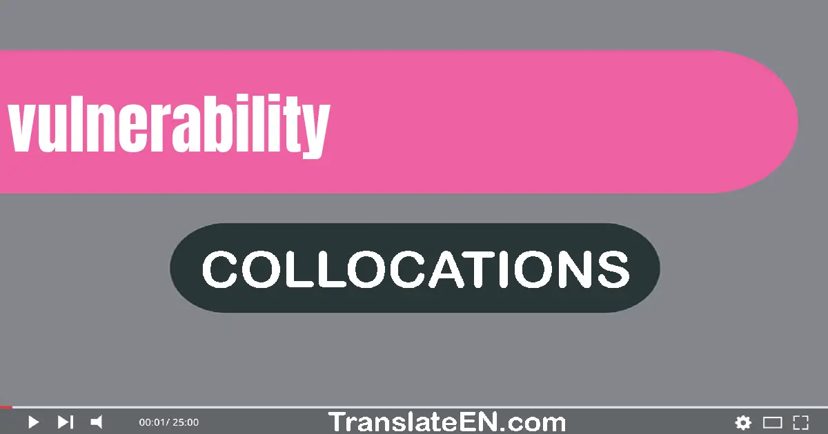 Collocations With "VULNERABILITY" in English