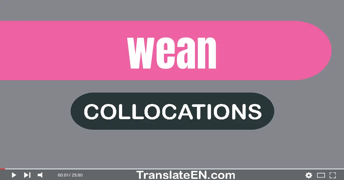 Collocations With "WEAN" in English