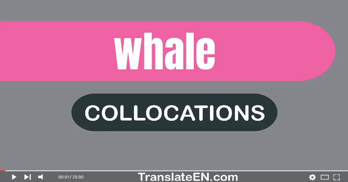 Collocations With "WHALE" in English