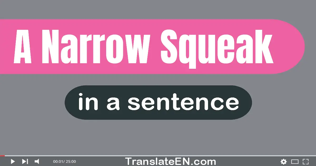 A Narrow Squeak in a sentence