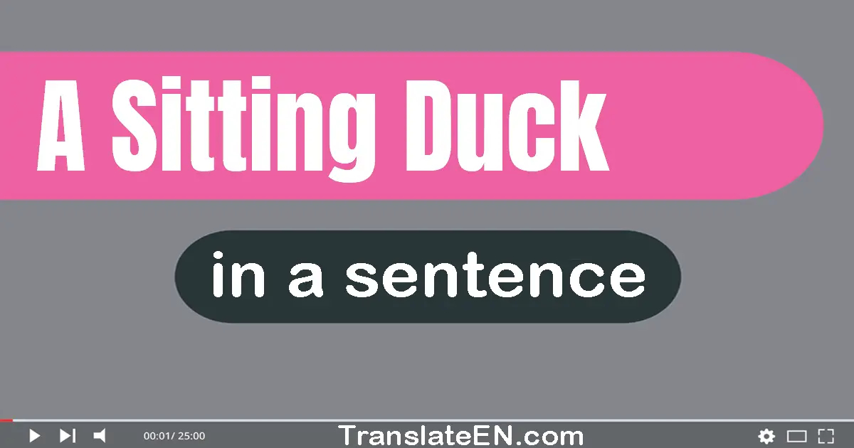 A Sitting Duck in a sentence