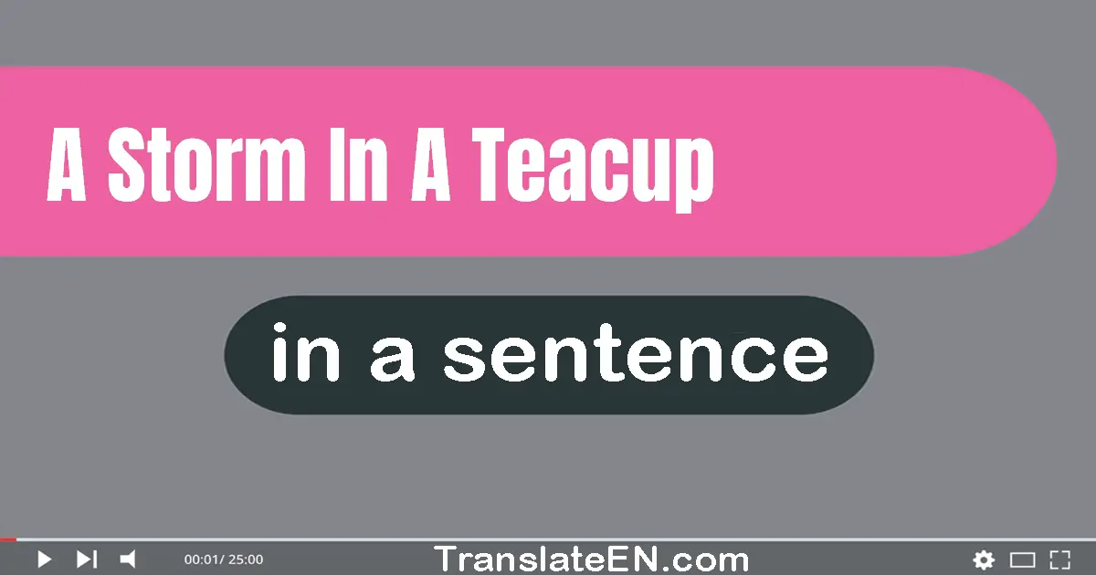 A Storm In A Teacup in a sentence