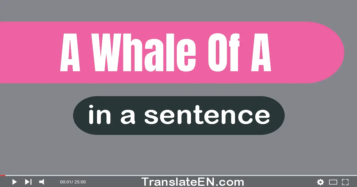 A Whale Of A in a sentence