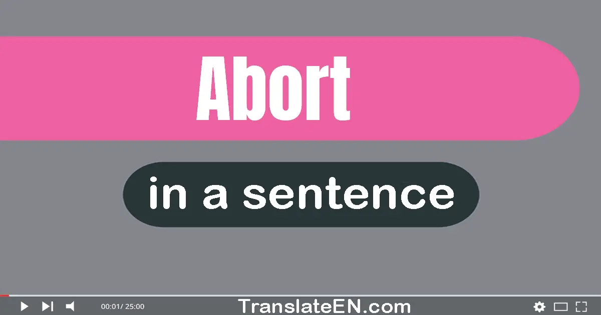 Use "abort" in a sentence | "abort" sentence examples