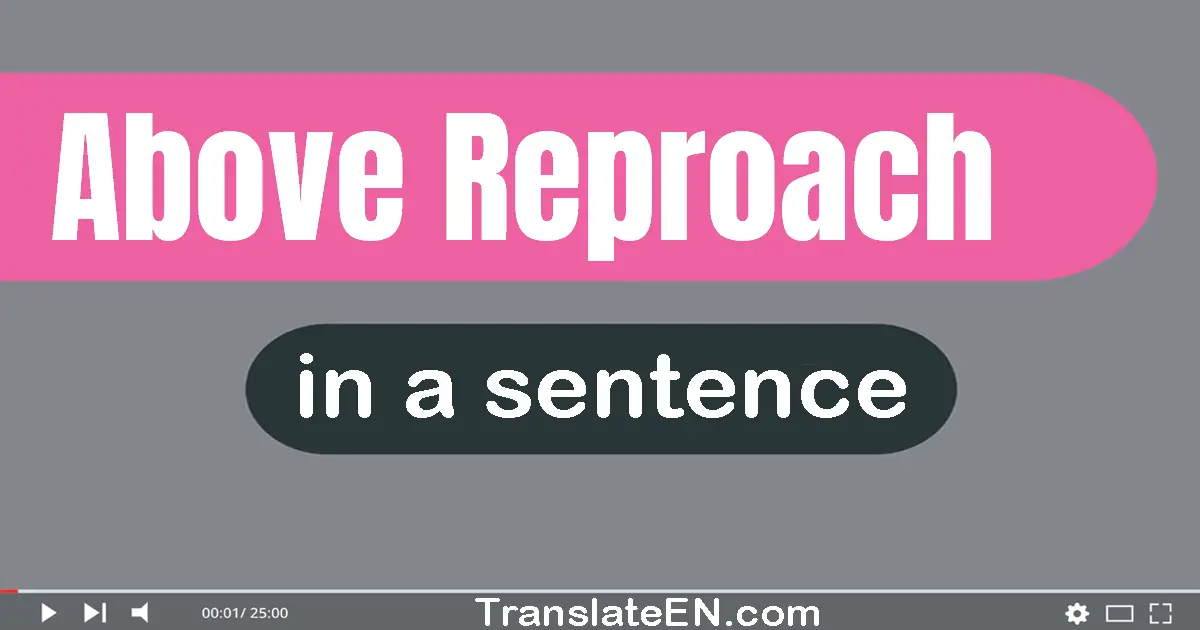 Above Reproach in a sentence