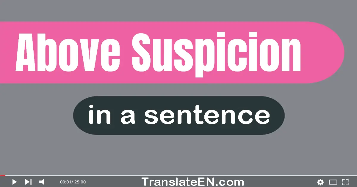 Use "above suspicion" in a sentence | "above suspicion" sentence examples