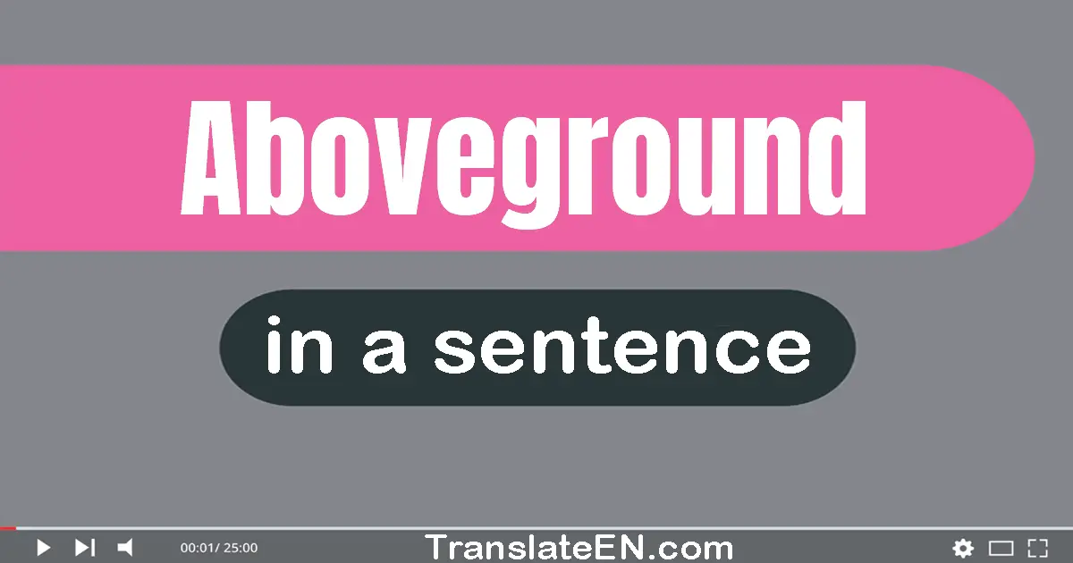Use "aboveground" in a sentence | "aboveground" sentence examples