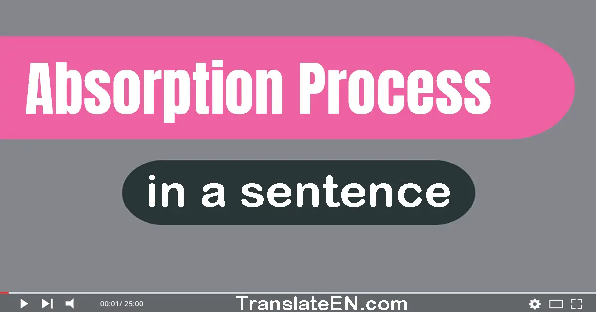 Absorption Process in a sentence