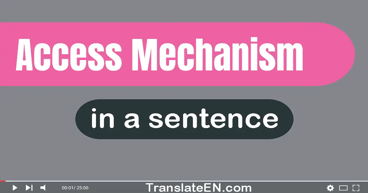 Access Mechanism in a sentence