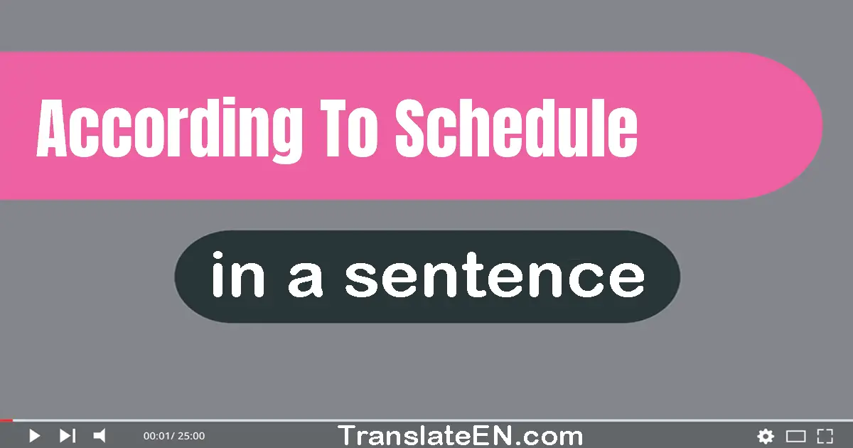 According To Schedule in a sentence