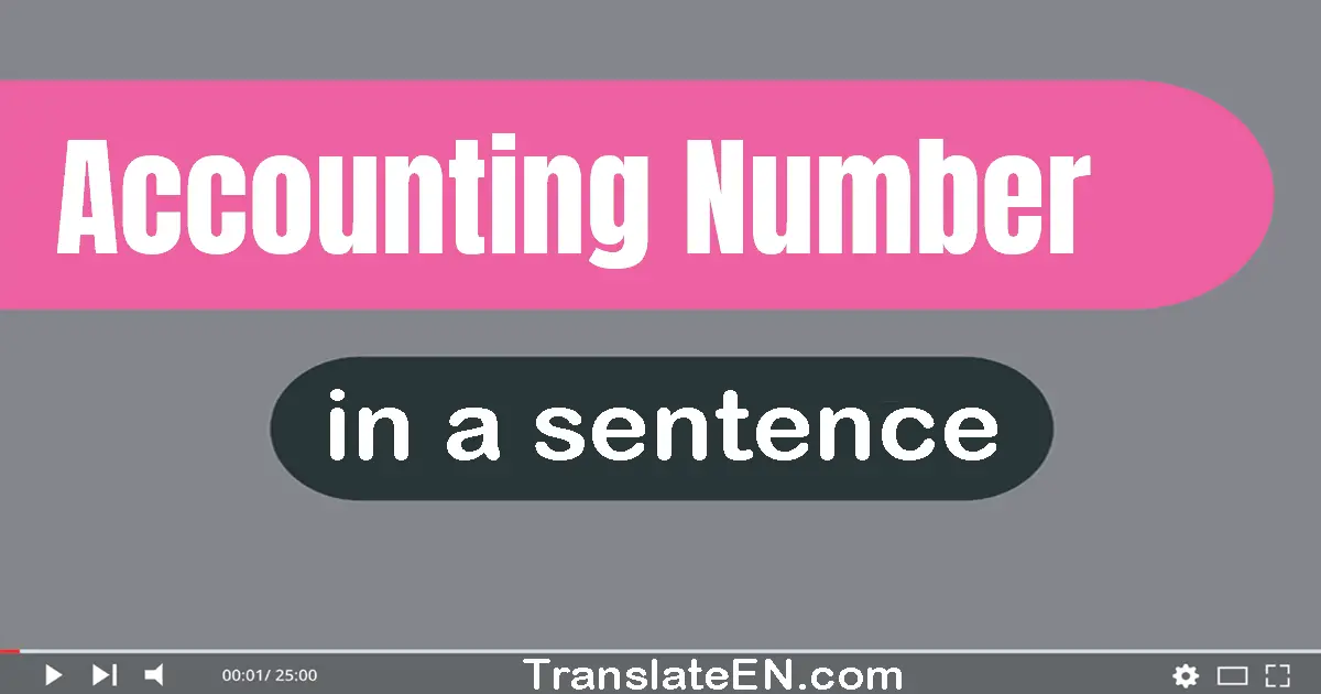 Accounting Number in a sentence