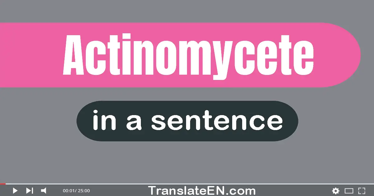 Actinomycete in a sentence