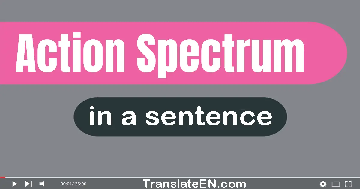 Action Spectrum in a sentence