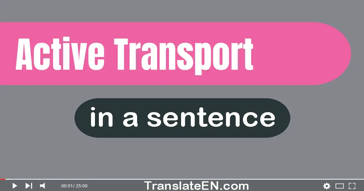 Use "active transport" in a sentence | "active transport" sentence examples