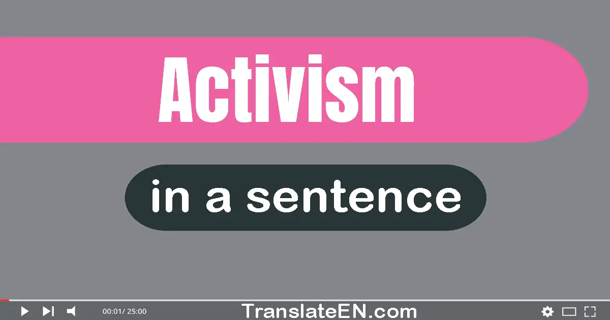 Use "activism" in a sentence | "activism" sentence examples
