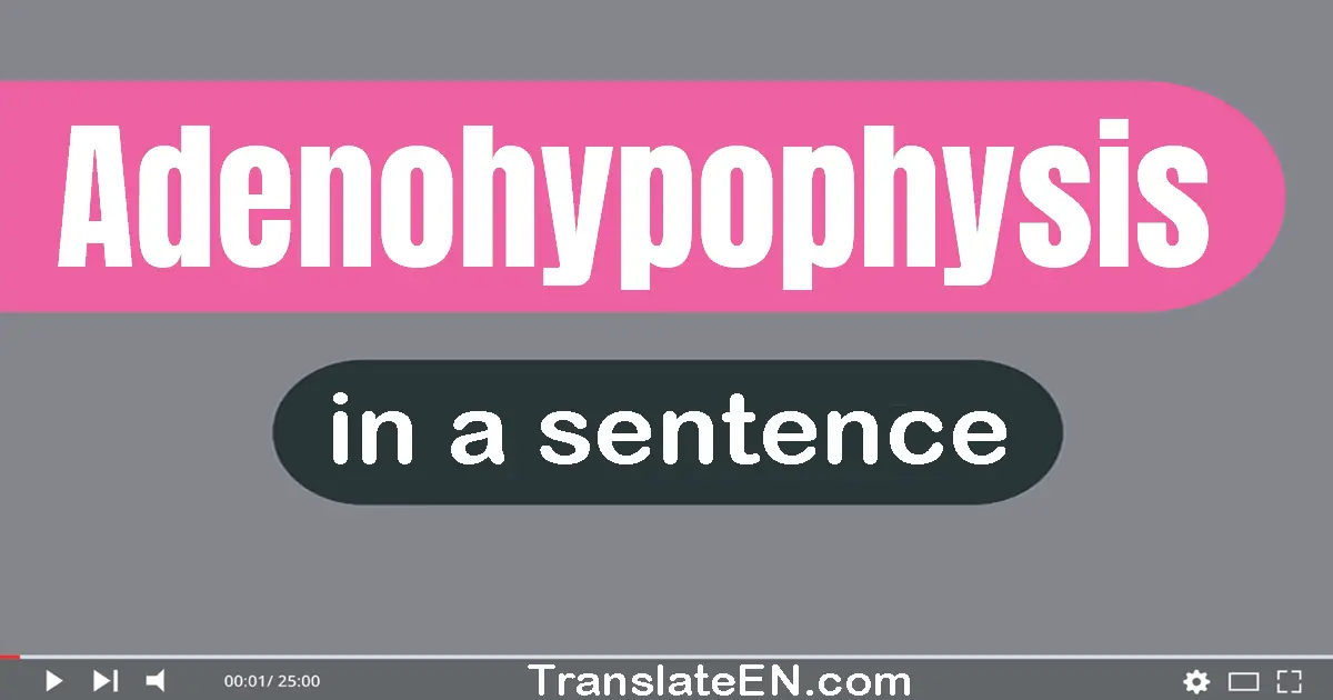 Adenohypophysis in a sentence