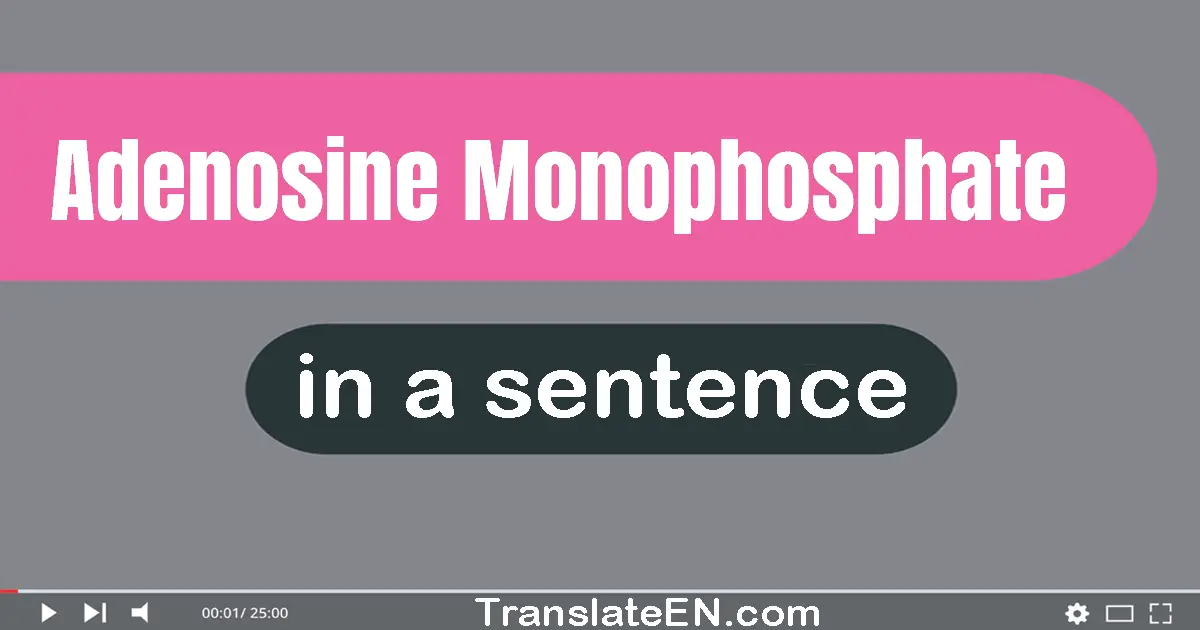 Adenosine Monophosphate in a sentence