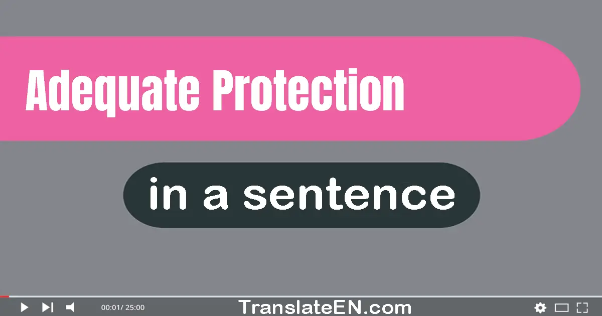 Adequate Protection in a sentence