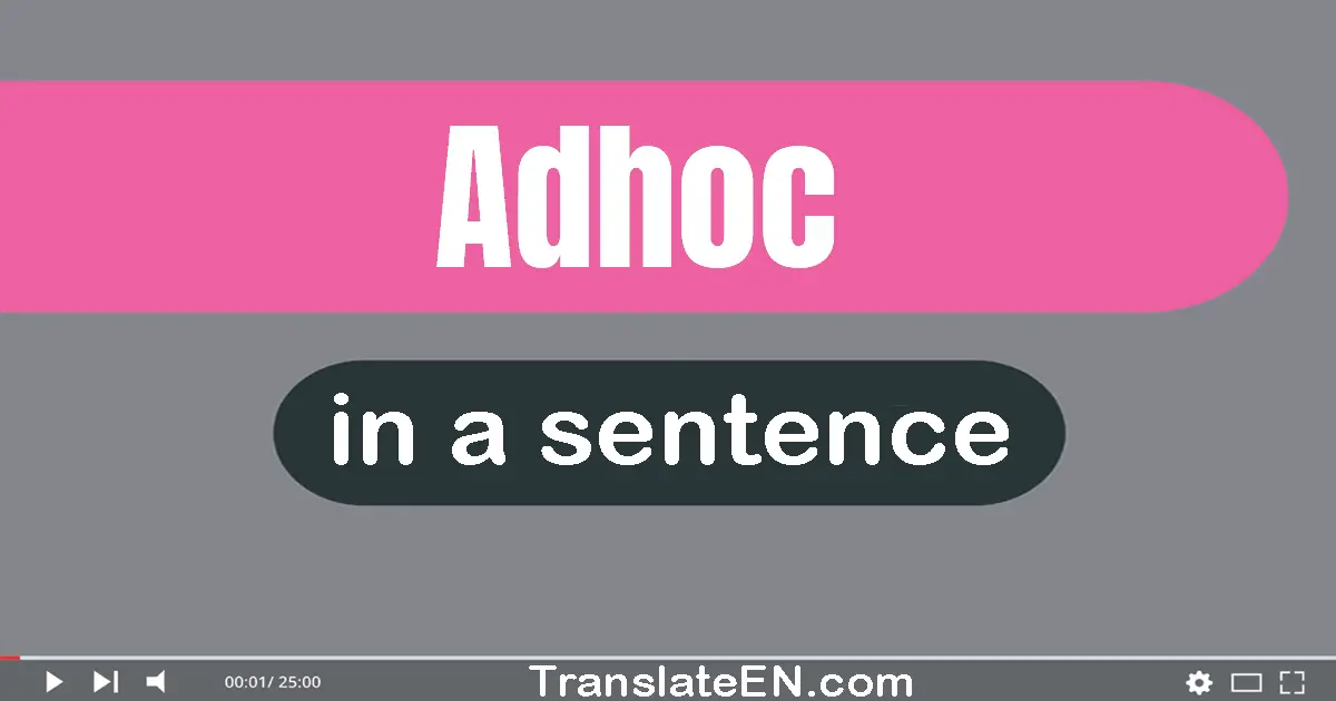 Adhoc in a sentence