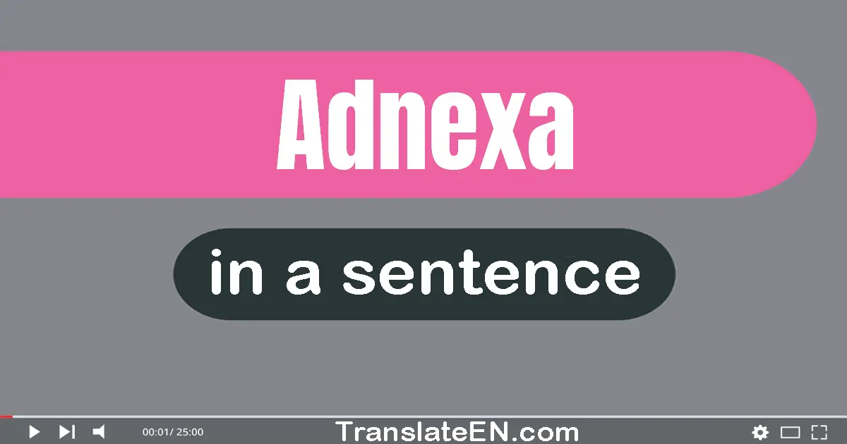 Adnexa in a sentence