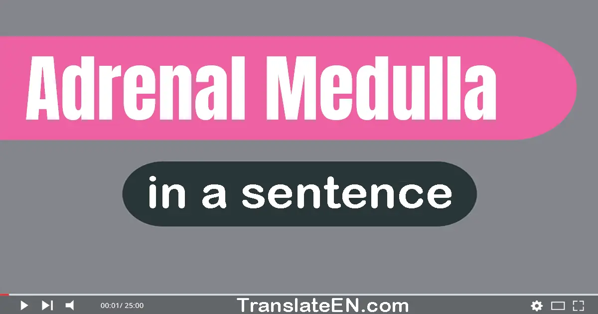 Adrenal Medulla in a sentence