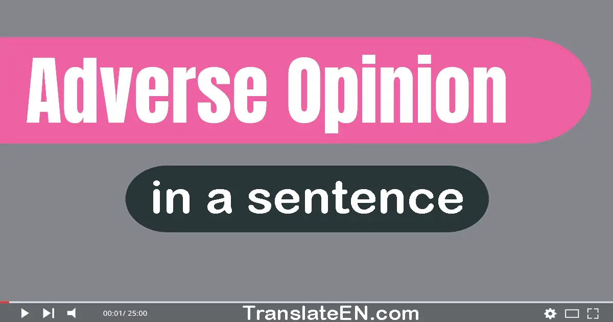 Adverse Opinion in a sentence