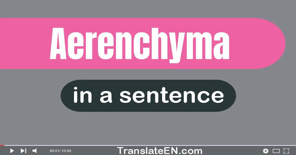 Use "aerenchyma" in a sentence | "aerenchyma" sentence examples