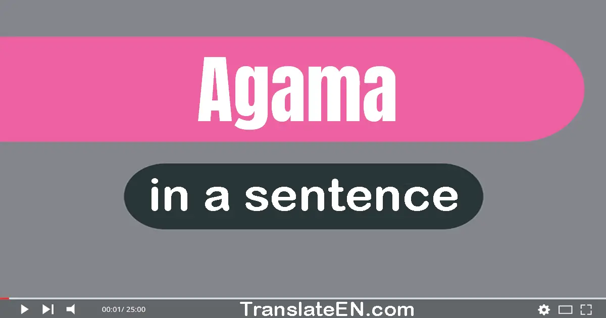 Agama in a sentence