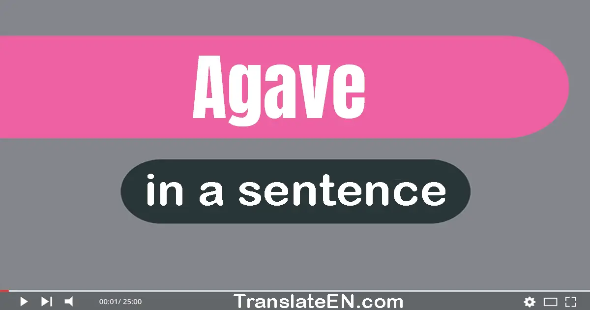 Agave in a sentence