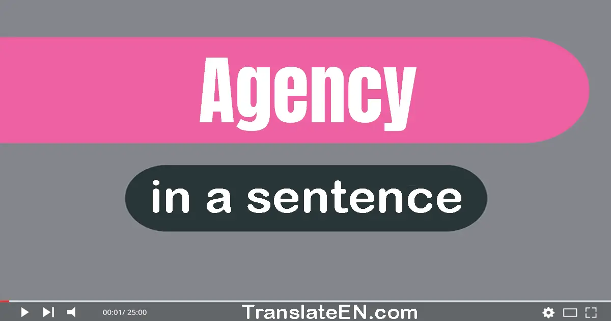 Use "agency" in a sentence | "agency" sentence examples