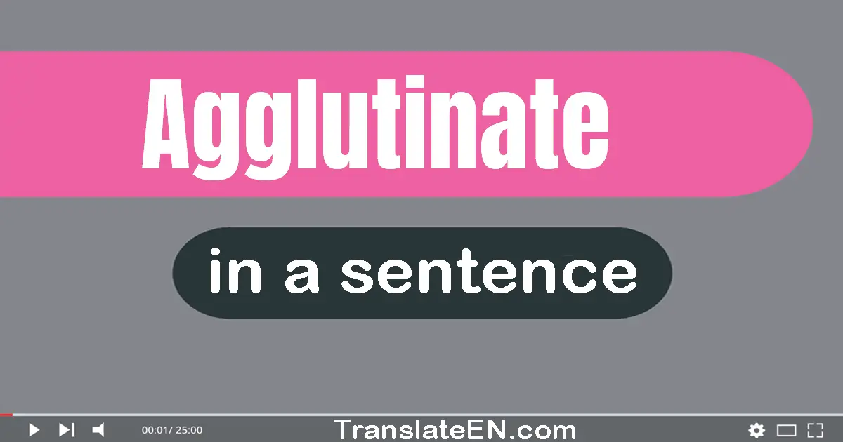 Agglutinate in a sentence