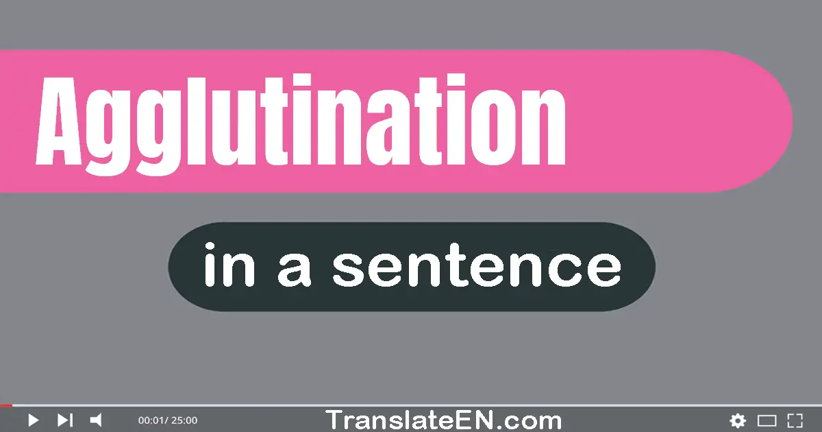 Agglutination in a sentence