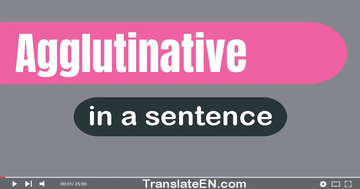 Agglutinative in a sentence