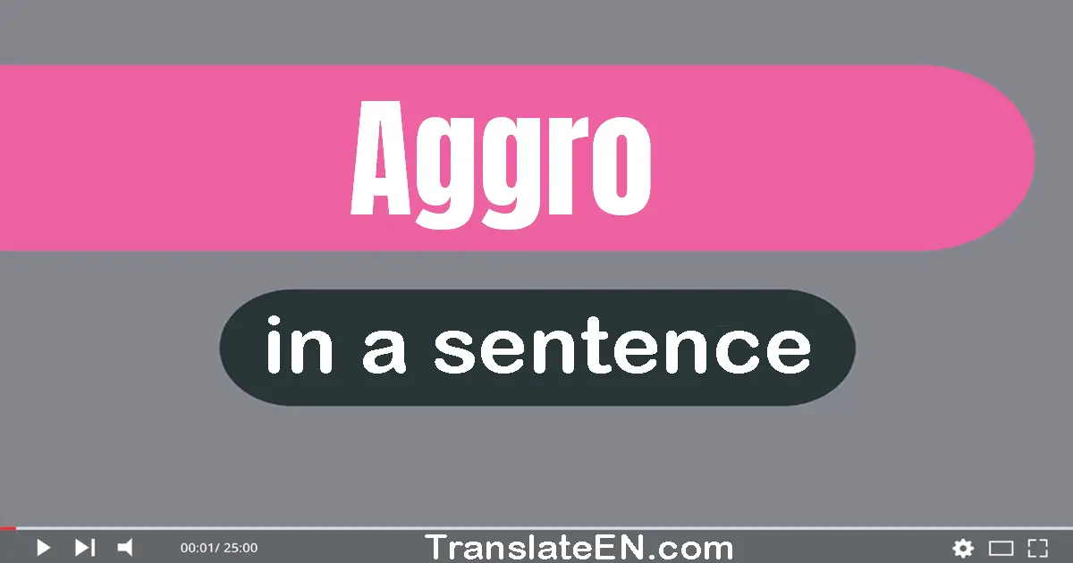 Aggro in a sentence