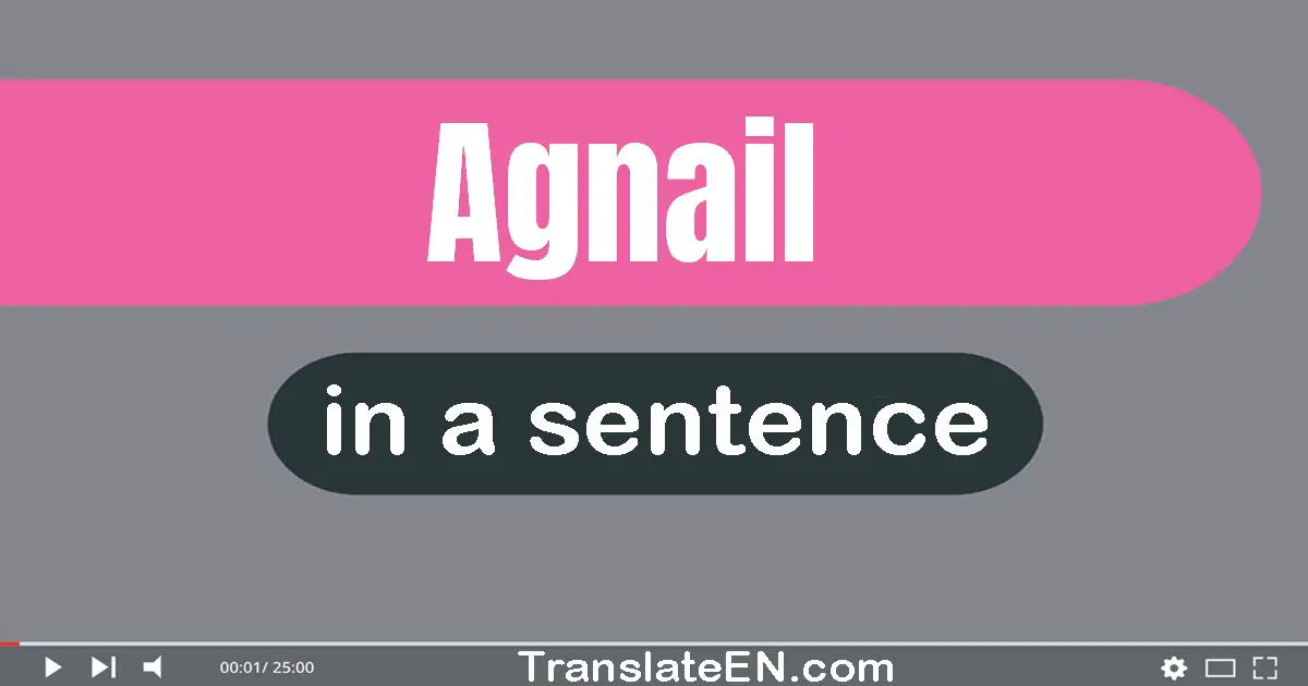 Use "agnail" in a sentence | "agnail" sentence examples