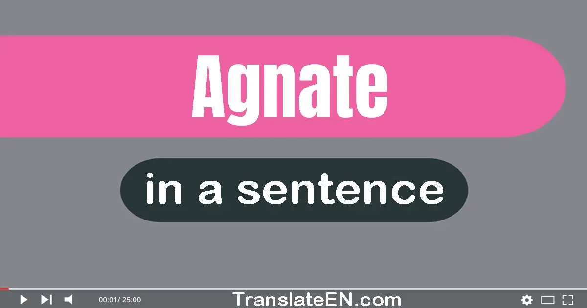 Use "agnate" in a sentence | "agnate" sentence examples